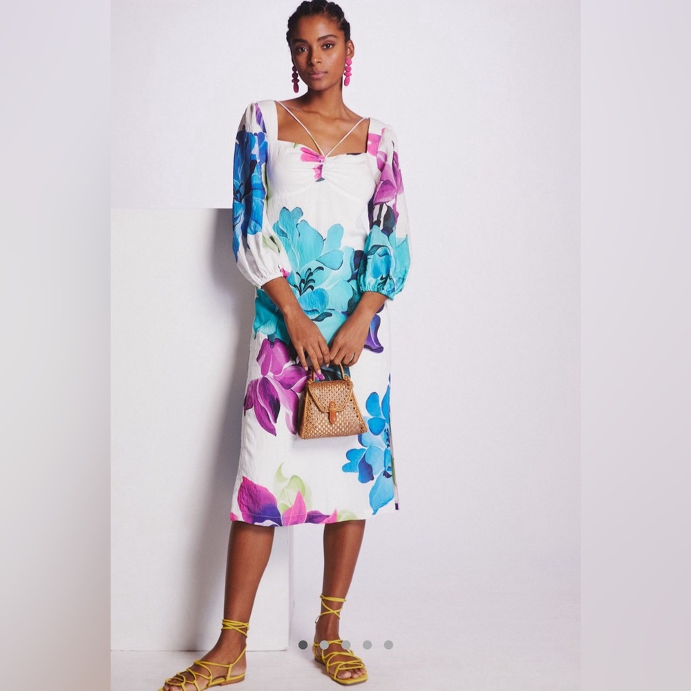 Anthropologie Maeve printed midi dress